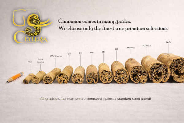 Cinnamon Grades Explained: How to Choose Premium Ceylon Cinnamon with Confidence