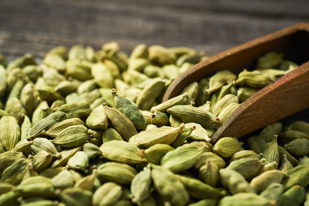 Why Fresh Ceylon Cardamom Is One of the Most Powerful Aromatic Spices in the World