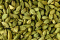 Ceylera Reserve Green Cardamom Pods